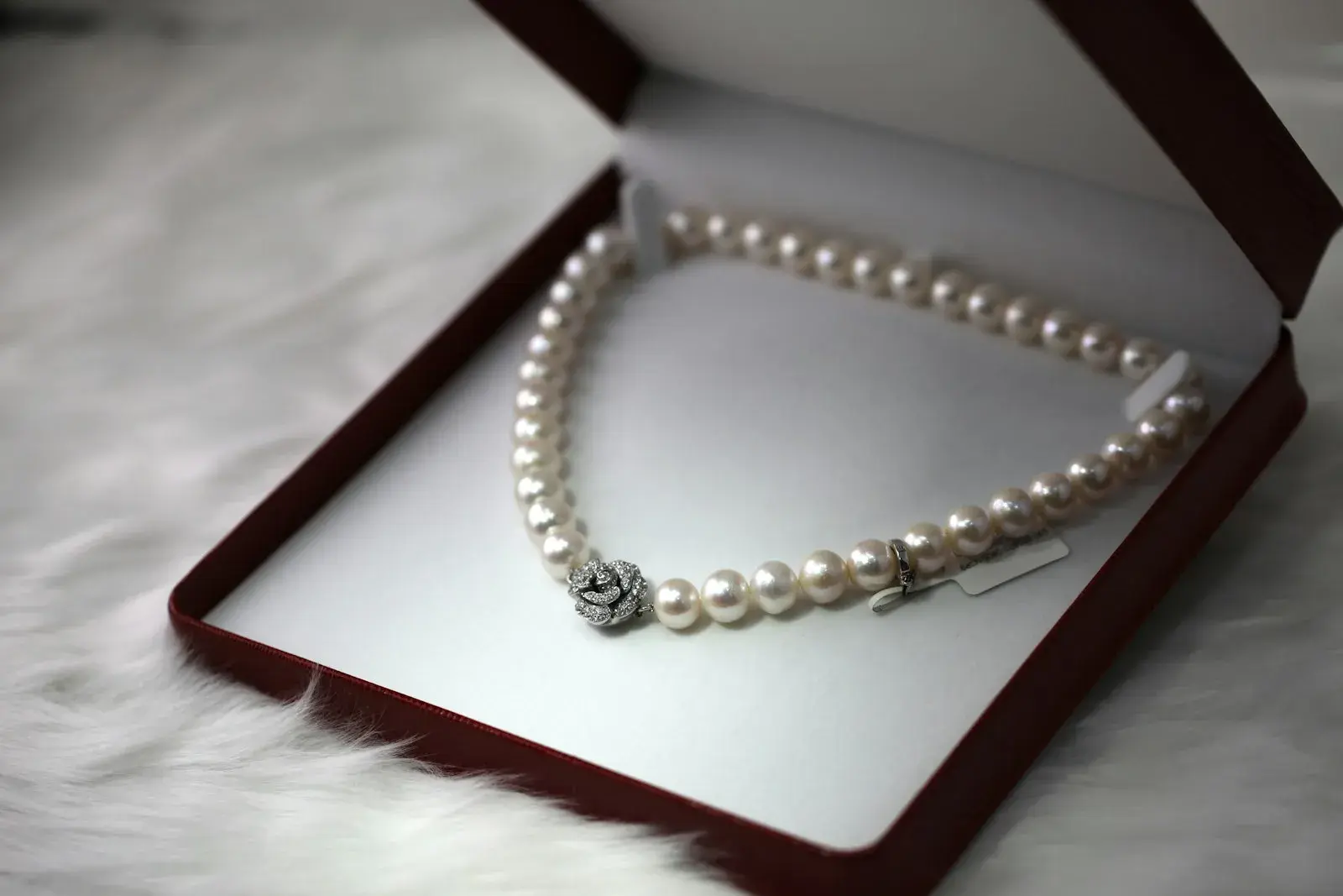 50% Jewelry Growth, Market Share Expansion, and the Wearables Pivot | TradeGhost